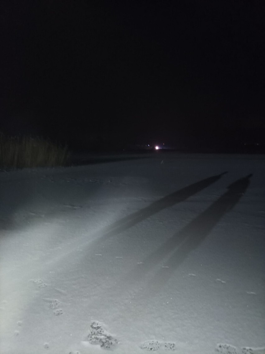 Strażacy z prabuckiej MOSP uratowali sarnę! Pod zwierzęciem zarwał się lód na Jeziorze Dzierzgoń [ZDJĘCIA]