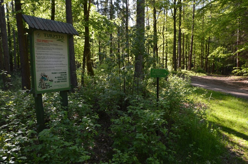 Wieża na Górze Siemierzyckiej pod Bytowem już stoi. Prace mają się zakończyć 1 czerwca (zdjęcia)