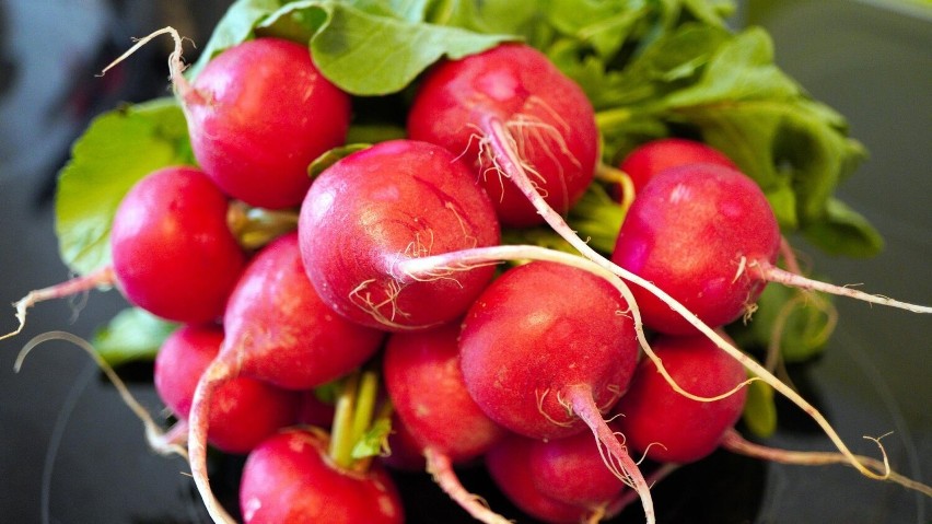 Rzodkiewka to popularne wiosenno-letnie warzywo, które...