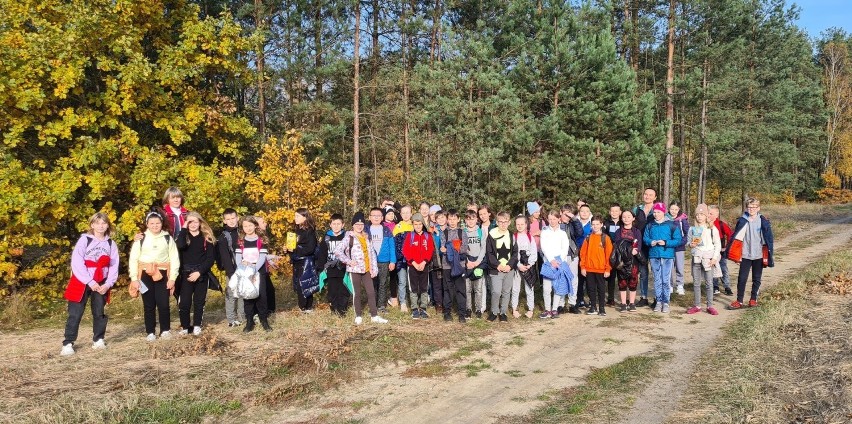 Leśny rajd uczniów ze Szkoły Podstawowej numer 2 w Staszowie. Pokonali 8 kilometrów (ZDJĘCIA)