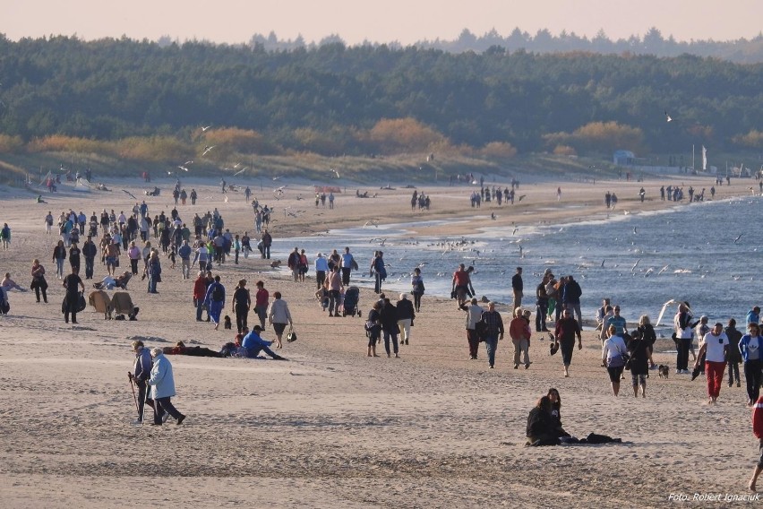 Tłumy na plaży w Śwunoujściu. Zobaczcie ZDJĘCIA