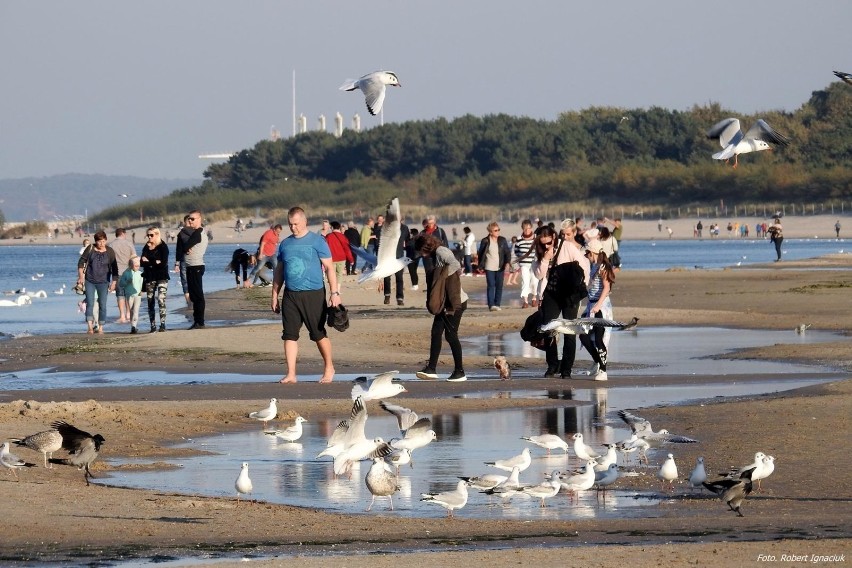 Tłumy na plaży w Śwunoujściu. Zobaczcie ZDJĘCIA