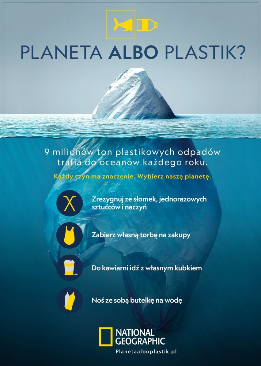 Jak plastik szkodzi planecie i zwierzętom? W Akwarium Gdyńskim obejrzysz niecodzienną instalację 