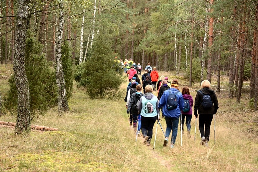 W Jeziorkach odbył się V Rajd Graniczny Nordic Walking. Zobaczcie zdjęcia 
