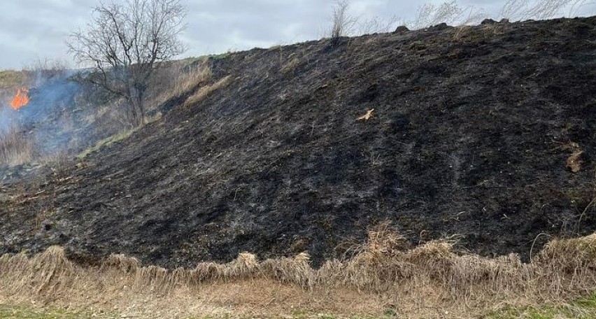 Powiat sztumski: Kończą się pożary sadzy, zaczynają pożary trawy! ZDJĘCIA