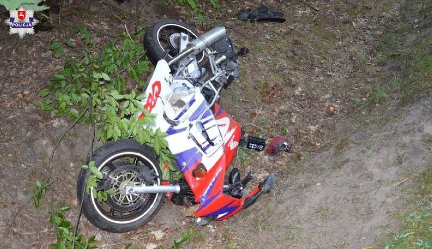 Tyśmienica: Wyjechał tylko na chwilę, zderzył się z łosiem....