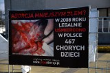 Drastyczna wystawa "Stop aborcji". Co myślą o niej mieszkańcy Puław?