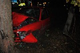 Pijany kierowca spowodował wypadek między Psarami a Alfonsowem w gminie Paradyż