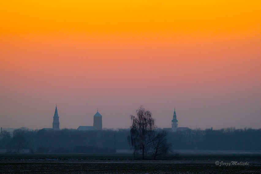 Bytom Odrzański, 5 lutego 2012