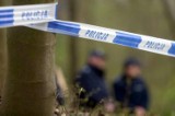 Zabójstwo pod Nowym Dworem Gdańskim. 20-latek przyznał się do makabrycznej zbrodni