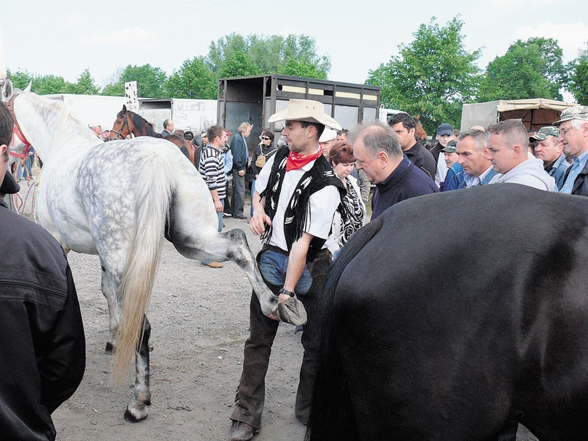 VIII Ogólnopolskie Targi Końskie - Pajęczno 2011