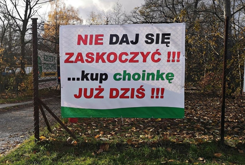 W Krakowie mamy już kilka punktów, w połowie listopada,...