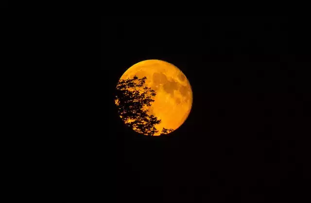 Super Blue Blood Moon  nad Warszawą. Ostatni raz taki księżyc można było zobaczyć 150 lat temu!