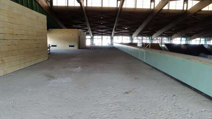 Remont hali sportowej Trapez w Lesznie opóźni się z powodu wykrycia  azebestu w pokryciu dachu 