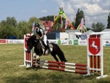 Konin CUP. Na Błoniach trwają konkursy jeździeckie. Co przed nami? [FOTO]