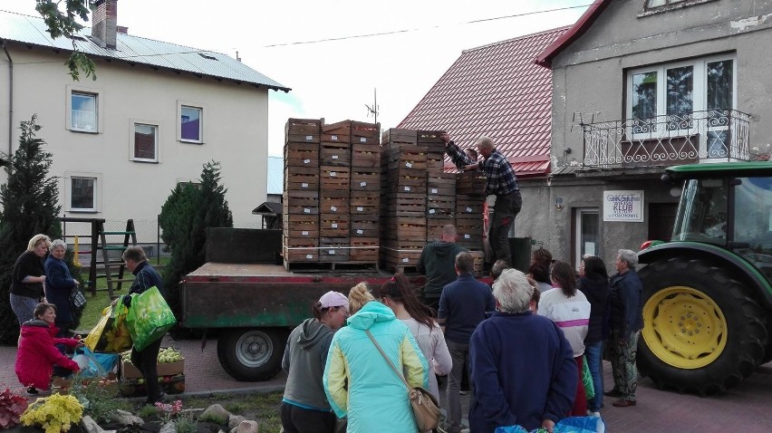 Darmowe jabłka w gminie Puck znowu trafią do mieszkańców