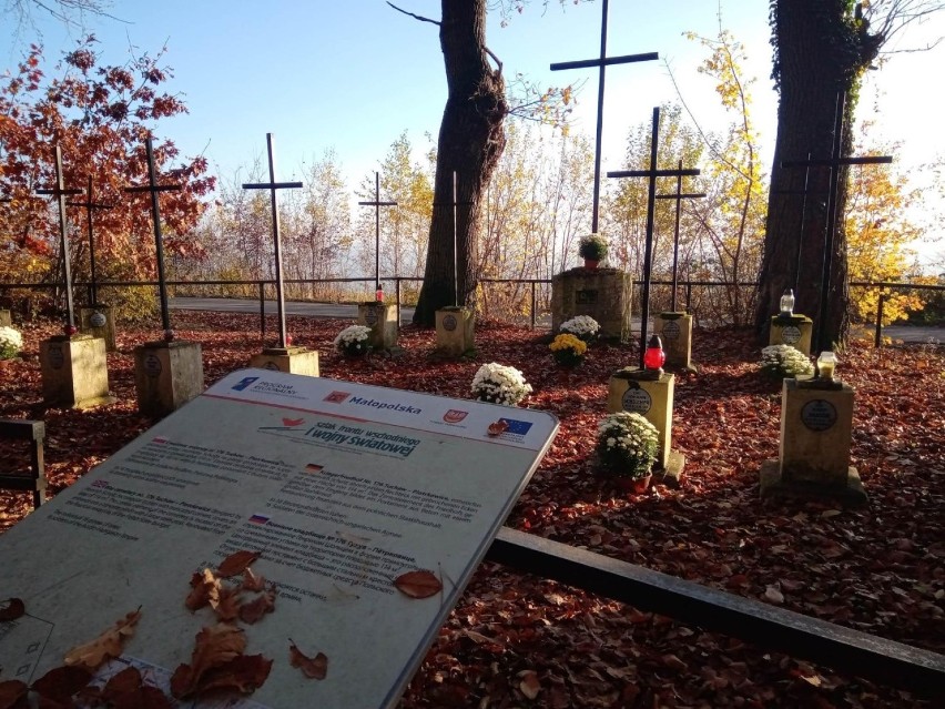 Kwiaty na cmentarzach I-wojennych w gm. Pleśna, rozwiezione...