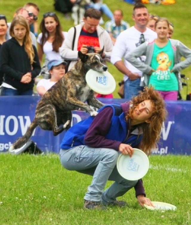 Kejtrówka 2014: Latające psy na Cytadeli. Tłumy na zawodach i pikniku