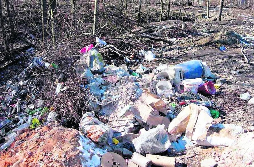 Siemianowice Śląskie: Czekamy na zgłoszenia dzikich wysypisk śmieci!