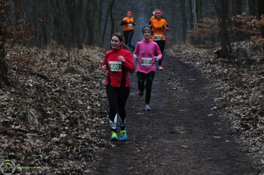 City Trail w Katowicach - zdjęcia z finałowego biegu [28 luty 2016]