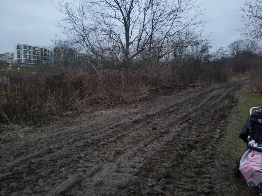 Spacer po grzęzawisku. Ulica Bluszczowa na Ponikwodzie tonie w błocie. Zobacz zdjęcia