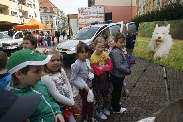 Straż miejska w Legnicy uczyła odpowiedzialności