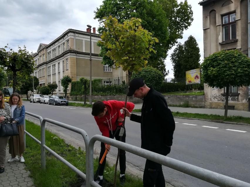 Nowy Sącz. Młodzież z sądeckich szkół sadzi drzewa w ramach akcji #hotelowytydzienziemi2021 [ZDJĘCIA]