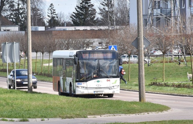 Czy za 4 mln zł rocznie da się utrzymać istniejącą siatkę połączeń autobusowych w Malborku? Swoją koncepcję w przyszłym tygodniu przedstawi zarząd MZK.