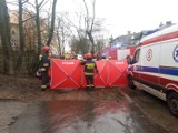 Śmiertelny wypadek na Sierakowskiego w Łodzi. Kierowca udearzył w drzewo [ZDJĘCIA]