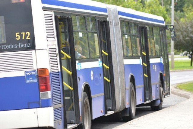 linia autobusowa nr 82 eskulapa fordon