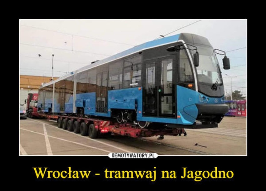 Oto MEMY o Wrocławiu i wrocławianach. Zobacz, jak się z nas śmieją! 