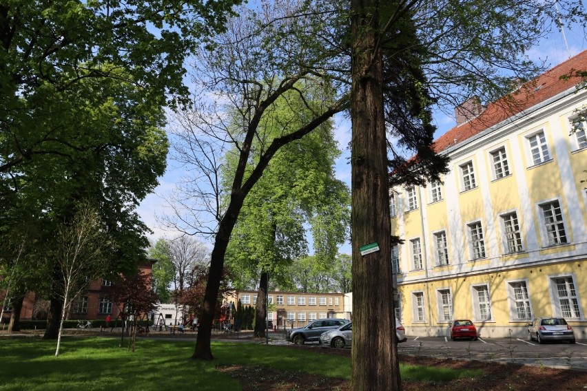 Park na Placu Kościuszki po modernizacji