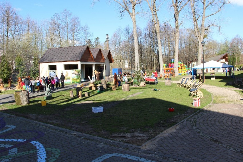 Nowa atrakcja w gminie Wejherowo. W Gościcinie powstał Park Zwierząt, Wierzeń i Iluzji | ZDJĘCIA