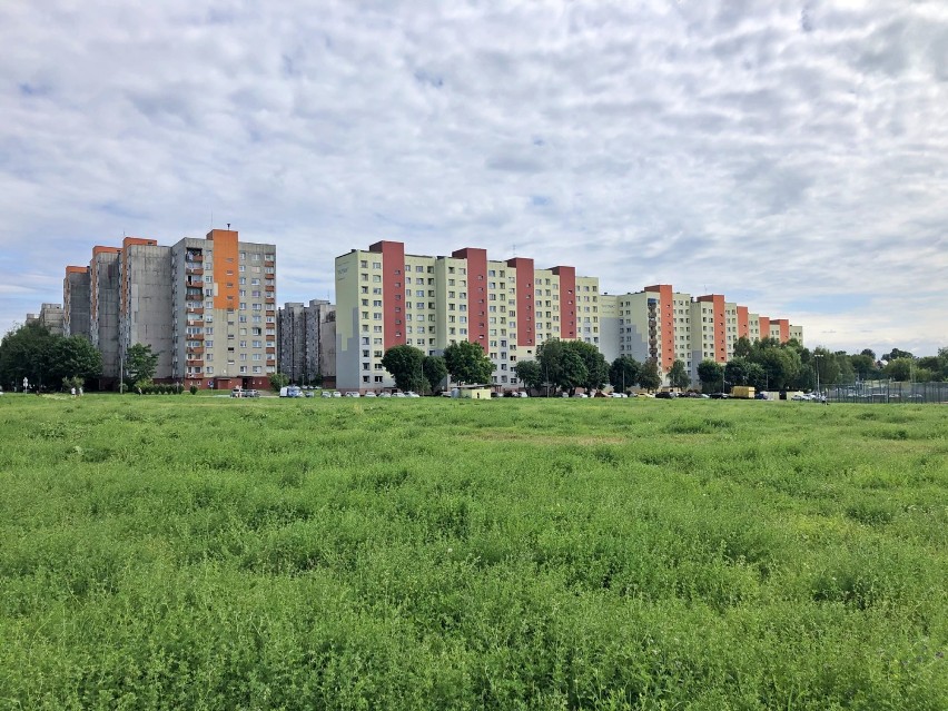 W Zagórzu powstaje nowy park. 

Zobacz kolejne zdjęcia....