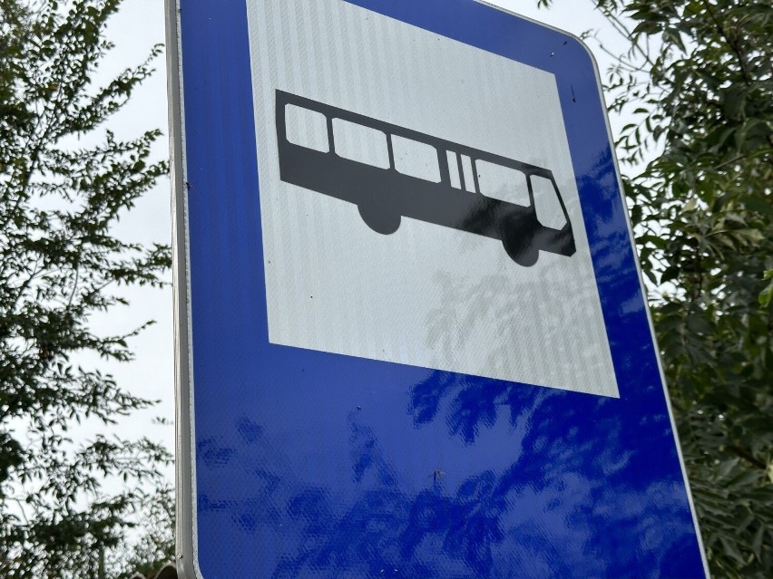 Gmina Pelplin kupi elektryczne autobusy. Będzie ekologicznie