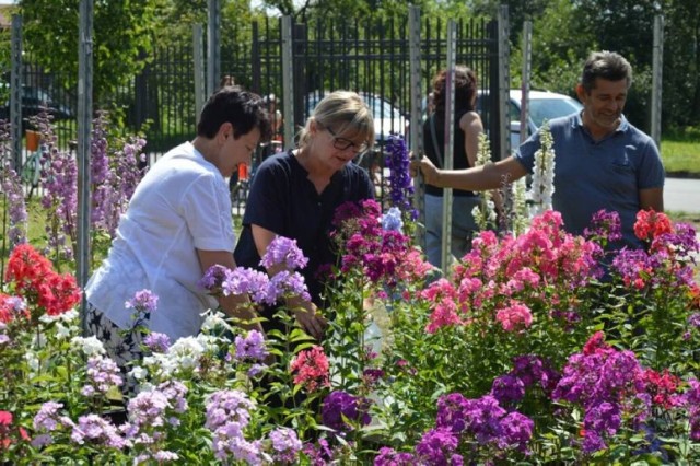 Święto Kwiatów 2021 Na osiedle Karsznice w Zduńskiej Woli wraca festyn i targi ogrodnicze