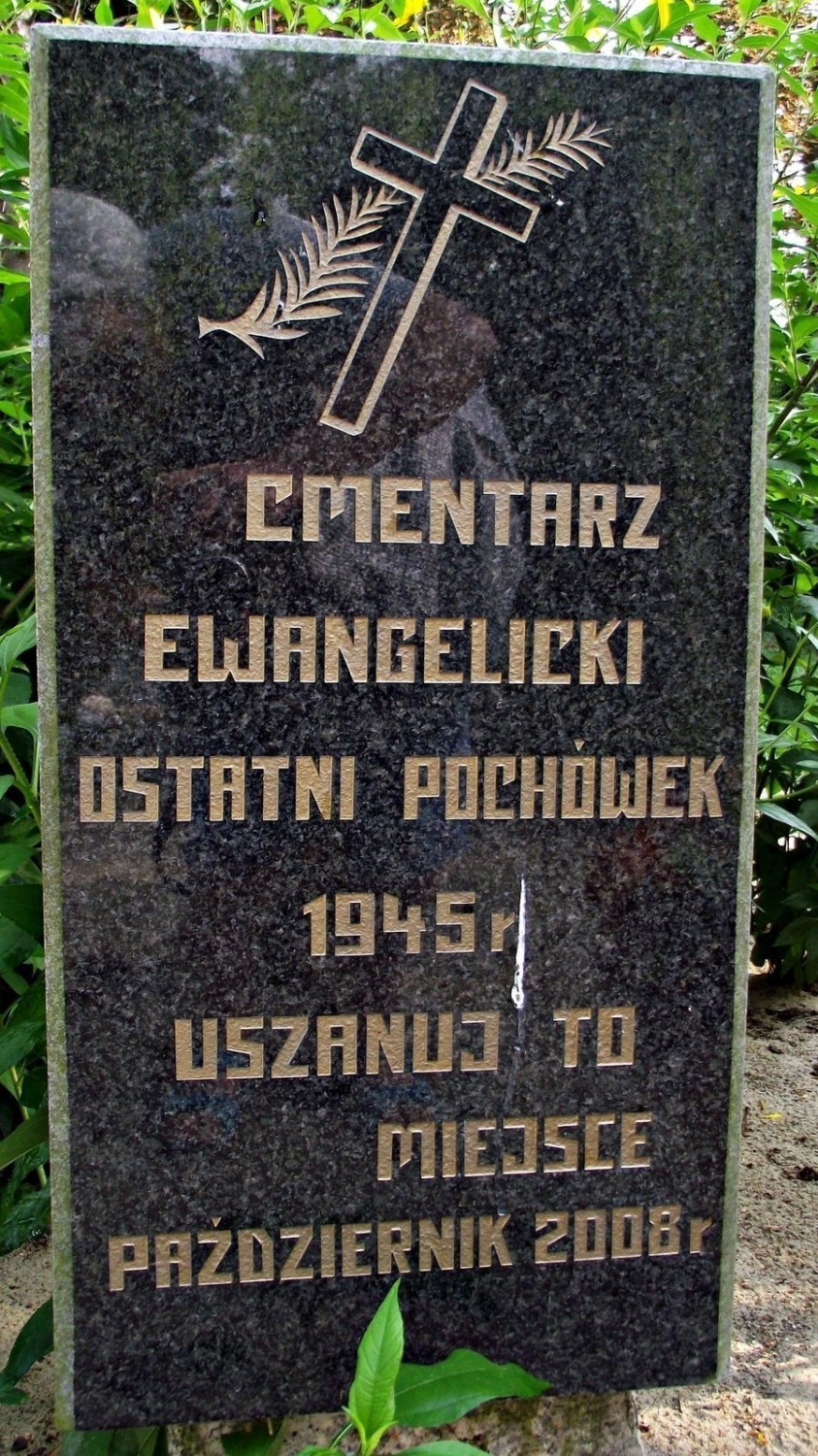 Ocalić od zapomnienia - cmentarz ewangelicki w Stefanowie.
