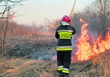 Płonące trawy zagrażają ludziom. Nie tylko w Krakowie