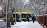 Komunikacja miejska w Słupsku w święta. Jak dojechać autobusem na Wigilię i Sylwestra  