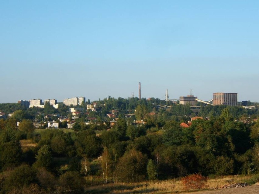 Mieszkańcy Rudy Śląskiej uważają, że marnowany jest...