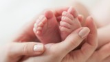Konin: Mniej urodzeń, więcej zgonów w 2020 roku   