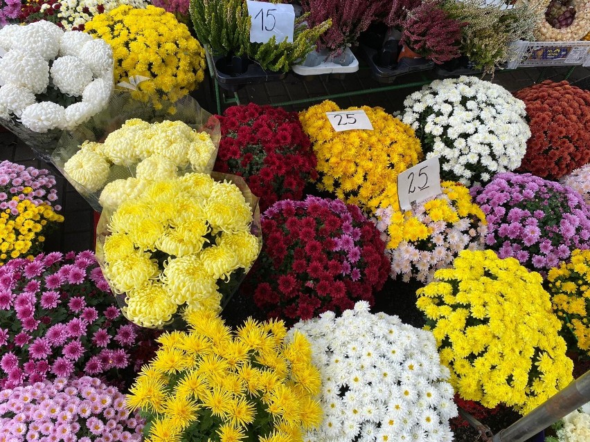 Chryzantemy na targowiskach w Rzeszowie. Ile zapłacimy za kwiaty na groby najbliższych?