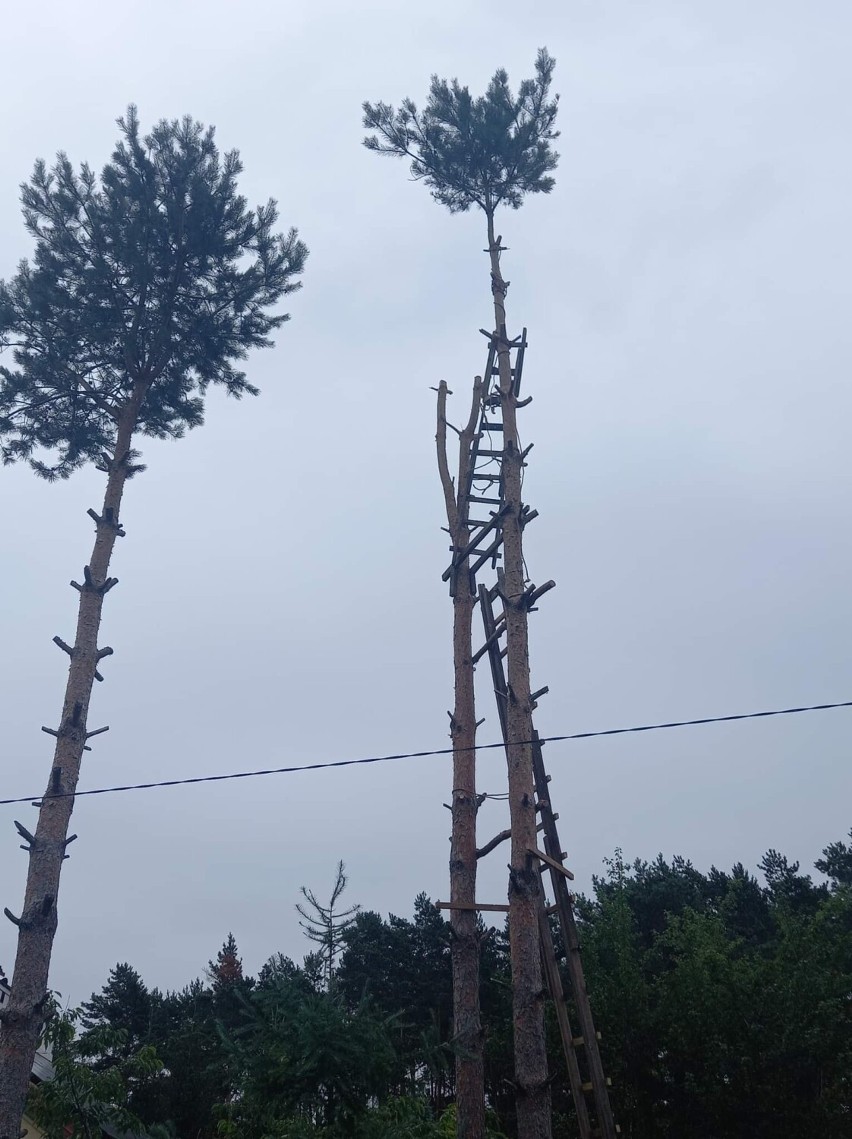 Tragedia w gminie Włocławek