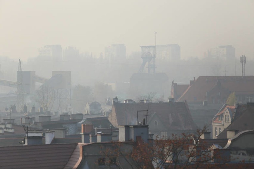 127 czujników jakości powietrza i 154 ekrany zostaną zamontowane w Katowicach