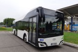 Kraków. Nietypowy autobus miejski wyjedzie na ulice miasta i pobliskich gmin. Pomieści nawet 87 osób