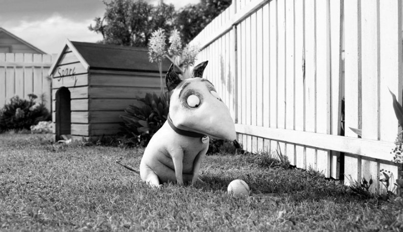 Frankenweenie [TRAILER, ZDJĘCIA] - Wygraj bilety na film [konkurs]