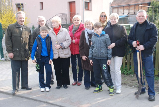 Jezioro Miejskie w Międzychodzie. Nowe drzewa przy promenadzie