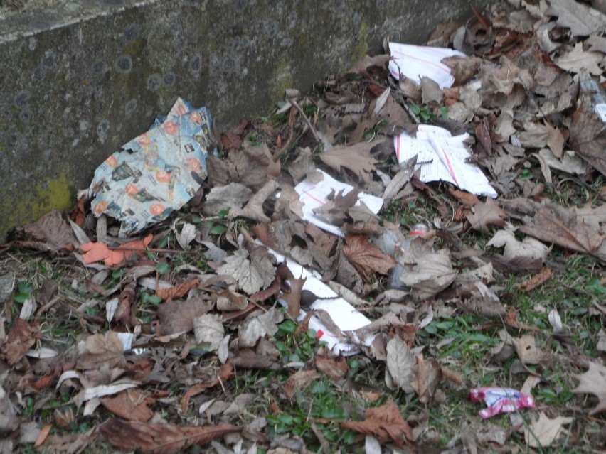 Śmieci Żory: Śmieci wokół budynku żorskiego szpitala. Wstyd! FOTO
