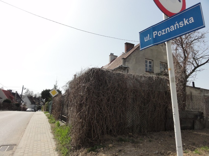 Poznańska rozciąga się na tyłach miasteczka Politechniki...