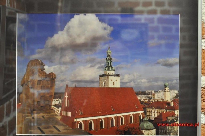 Cudne zdjęcia Oleśnicy w nowym albumie o mieście